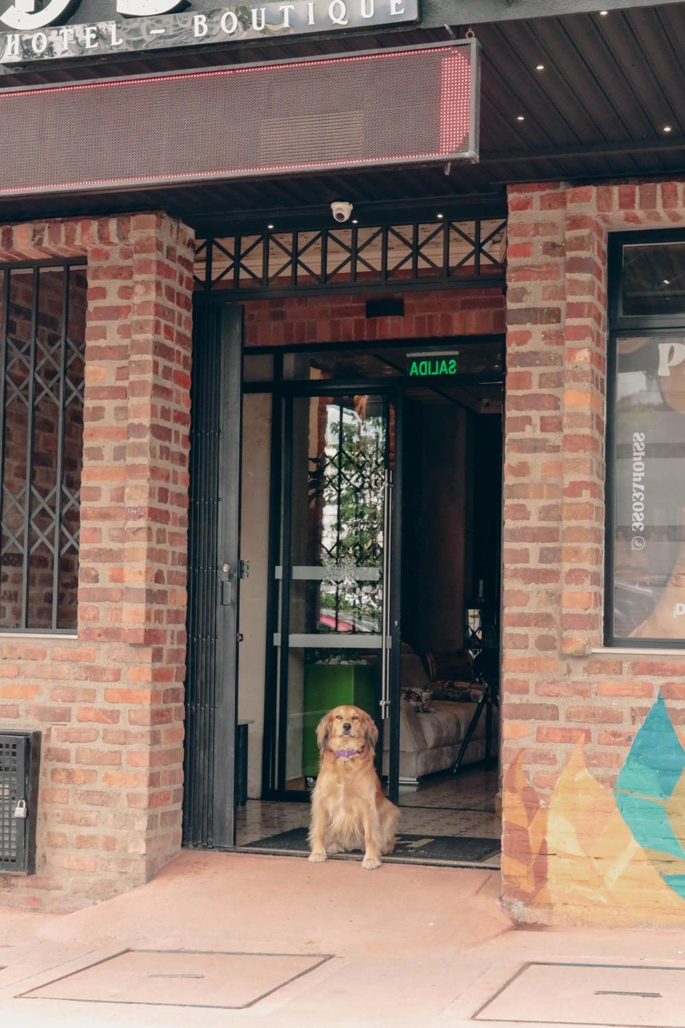 Bunde Haus Hotel Express Boutique Ibague Luaran gambar